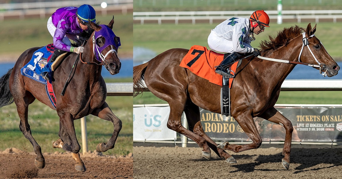 A bay mare and a chestnut mare racing.