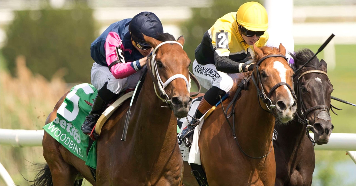 Horses racing at Woodbine.