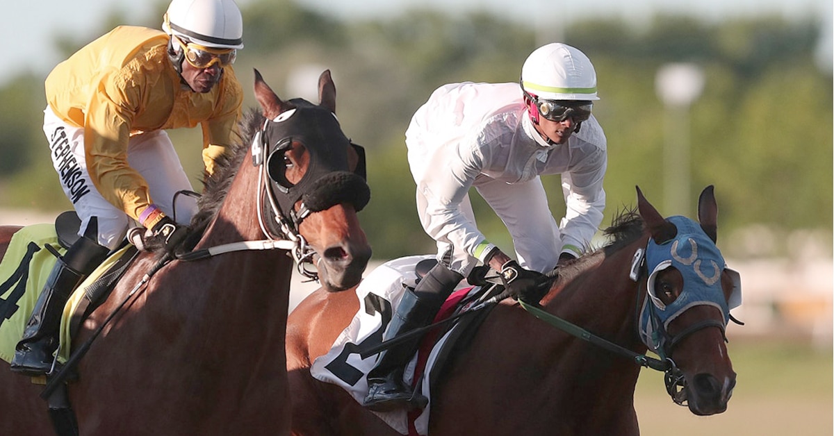 Two horses racing at Assiniboia Downs.