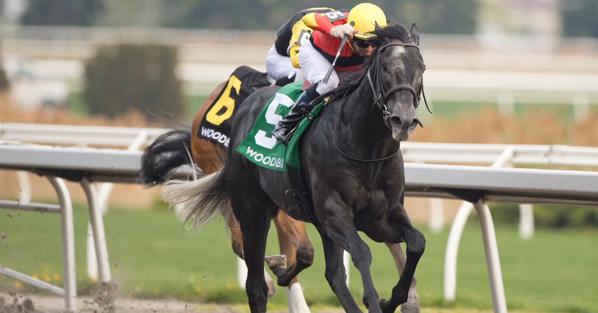 A dark grey horse winning a race at Woodbine.