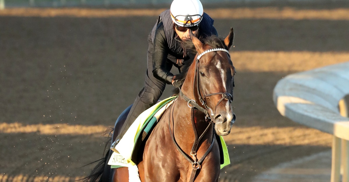 A bay horse being galloped at Churchill Downs.