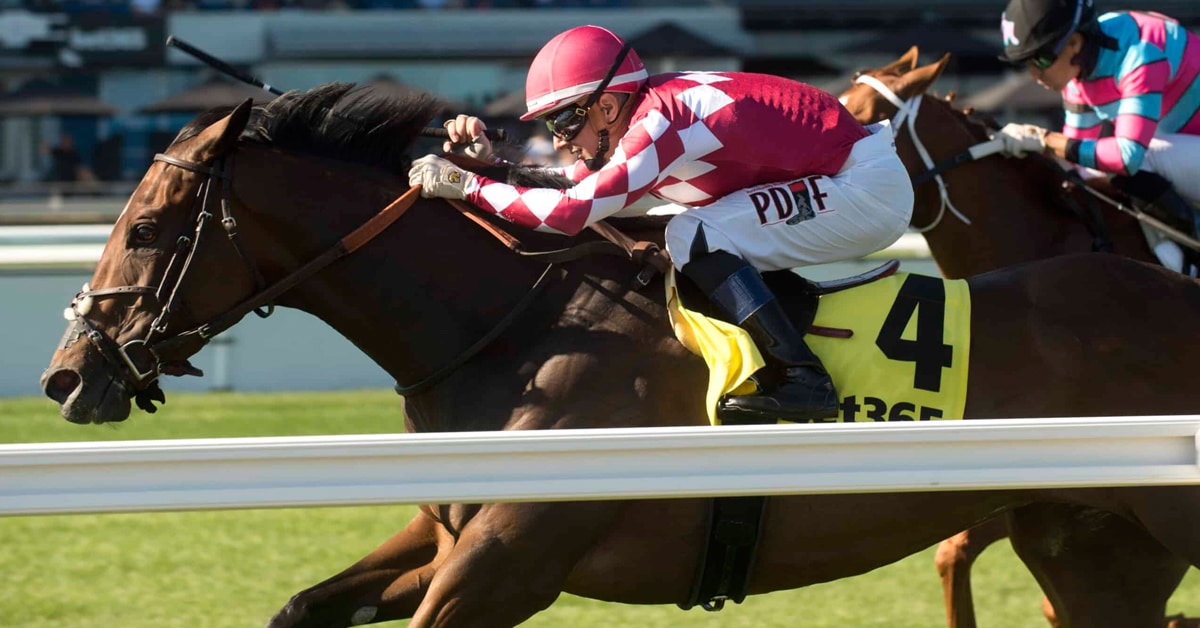 A bay horse winning a race at Woodbine.