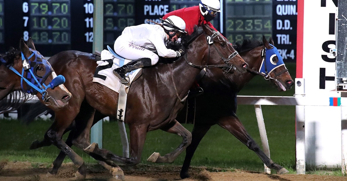 Horses racing at ASD.