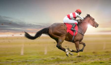 A race horse galloping.