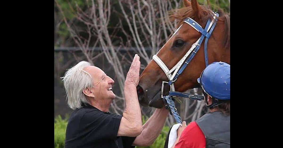 An older man patting the face of a chestnut horse.