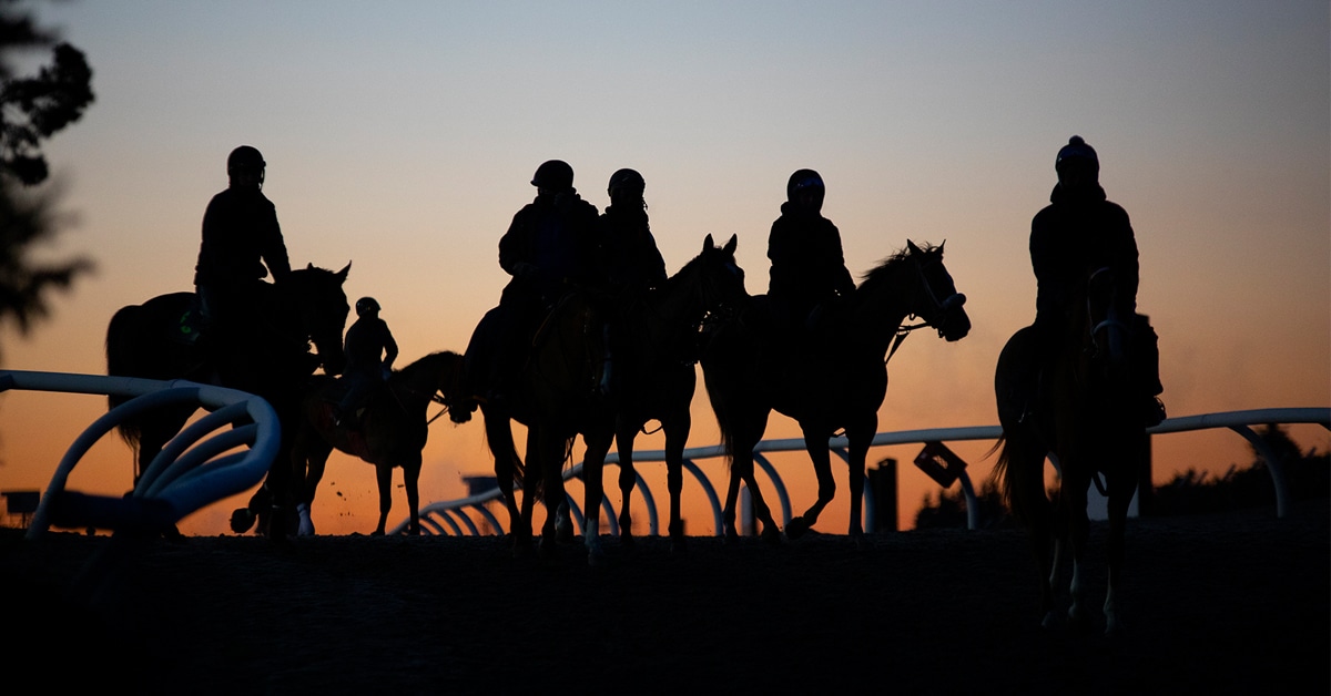 Horses heading to the track at Woodbine at dawn.
