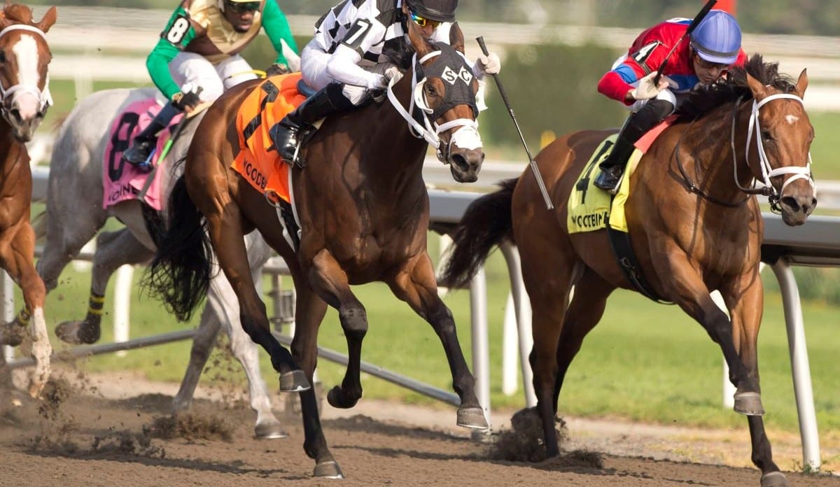 Horses racing at Woodbine.