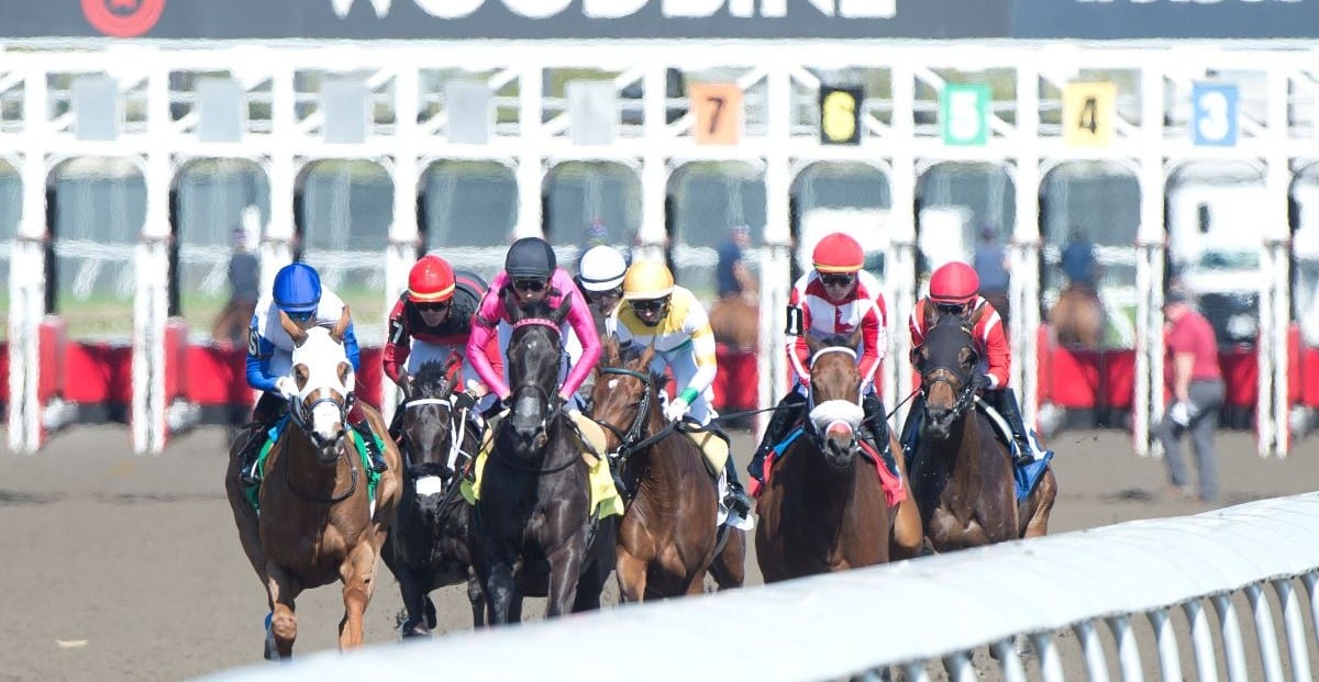 Racing action at Woodbine.