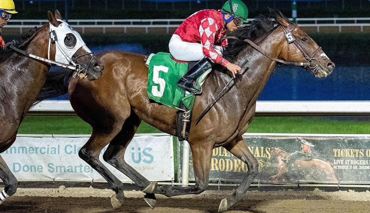 A dark bay horse winning a race at Century Mile.
