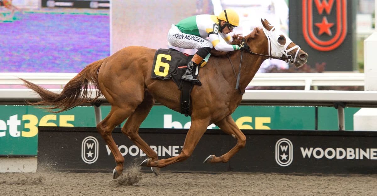 A chestnut horse winning a race at Woodbine.