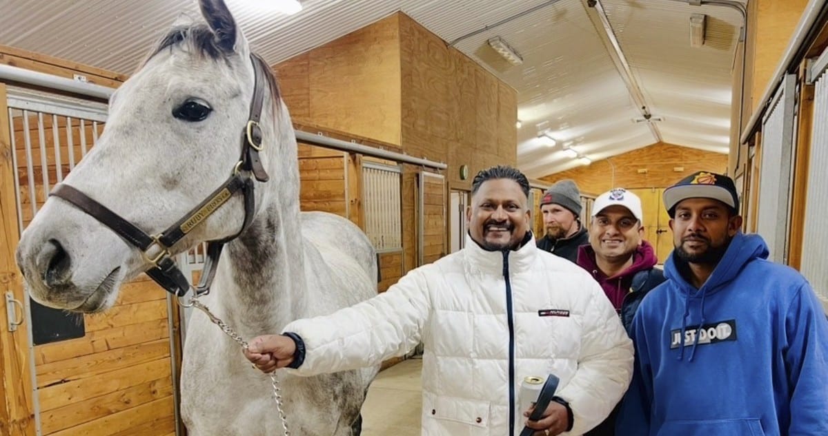 Two men with a grey broodmare in a barn aisle.
