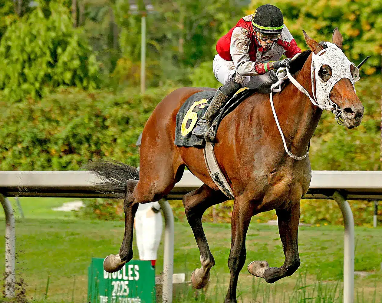 Assiniboia: Really Ralis Romps in Derby Trial During Busy Week