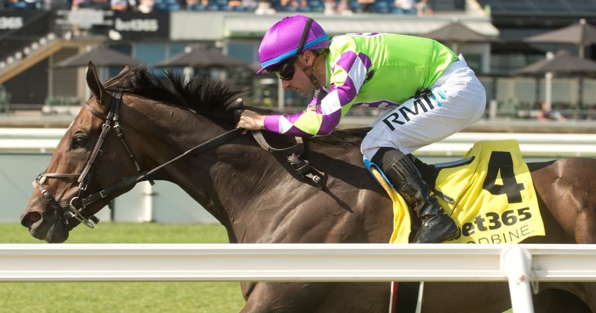 A bay horse winning a race at Woodbine.