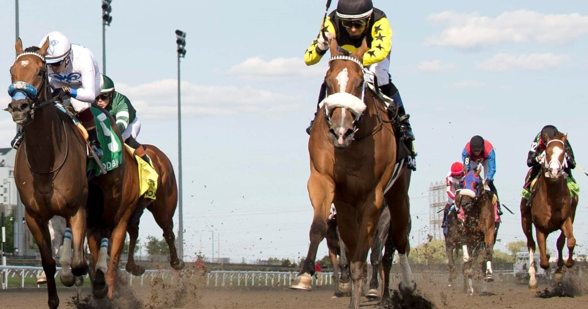 Horses racing at Woodbine.