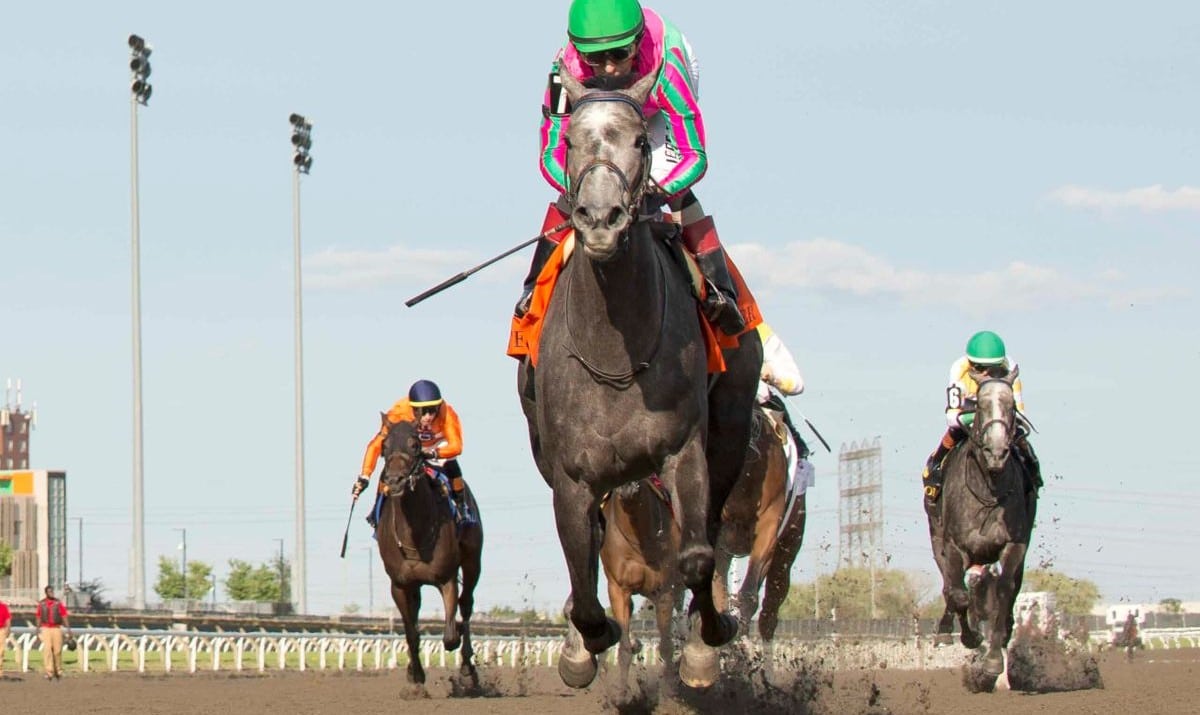 A grey horse winning a race at Woodbine.