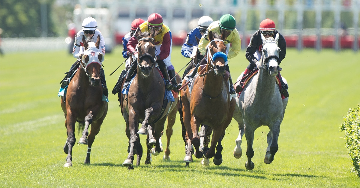 Horses racing on a turf course.