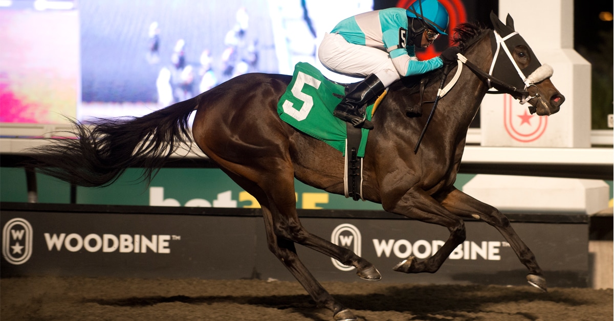 A bay mare winning a race at Woodbine.