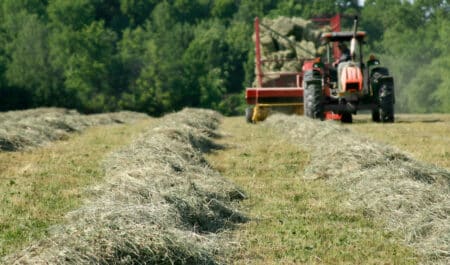 Hay being baled in a field.
