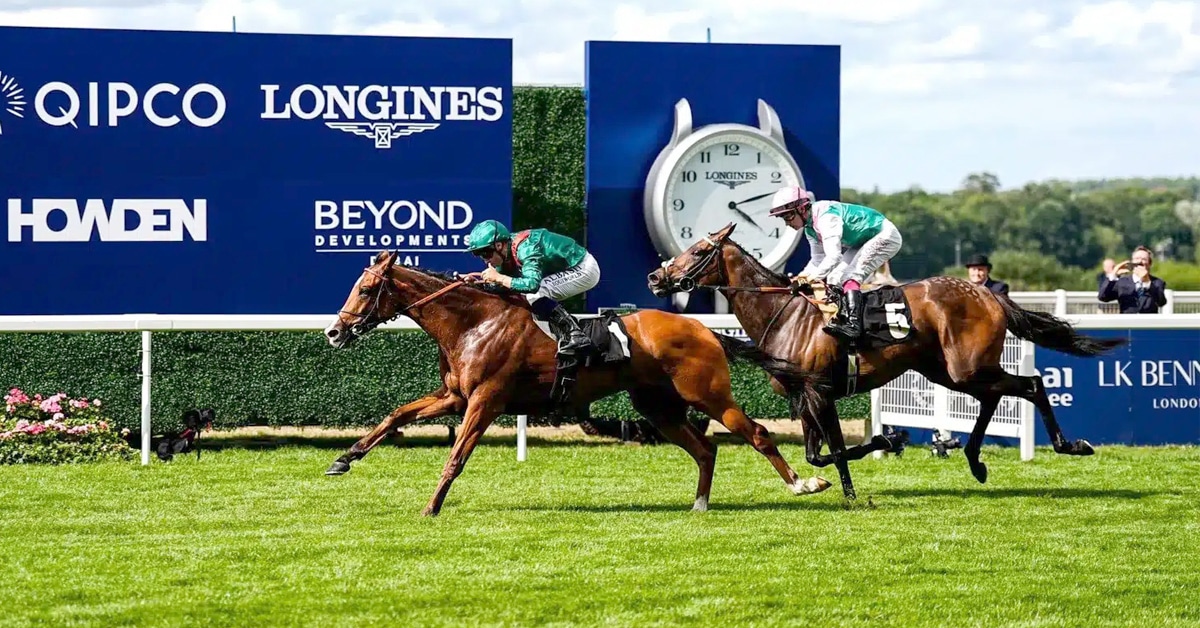 Horses racing on the turf at Ascot.
