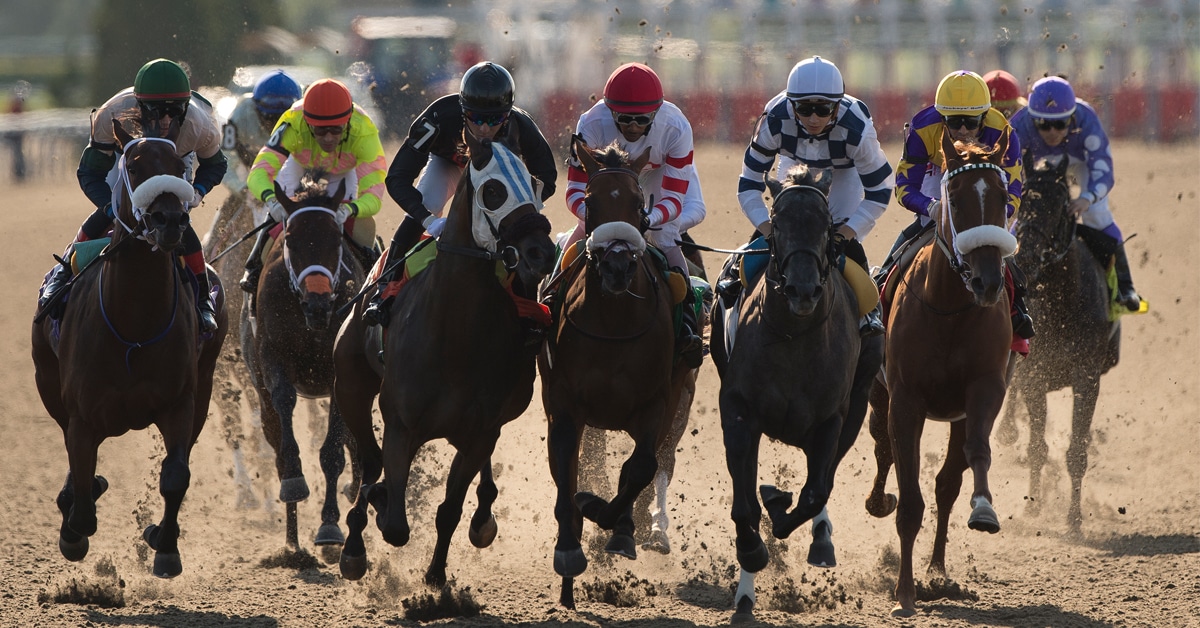Head-on shot of horses racing at Woodbine.