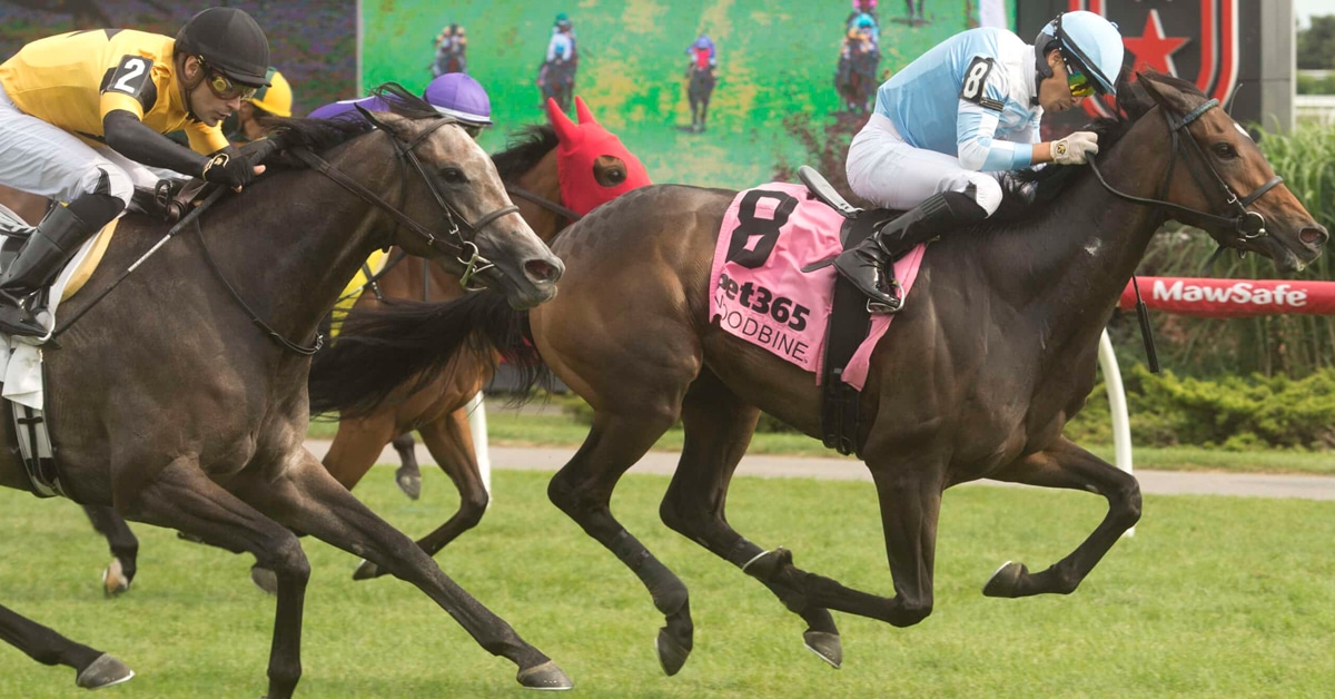 Horses racing to the wire at Woodbine.