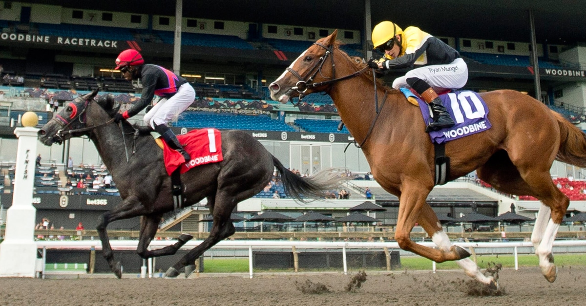 Horses racing to the finish line at Woodbine.