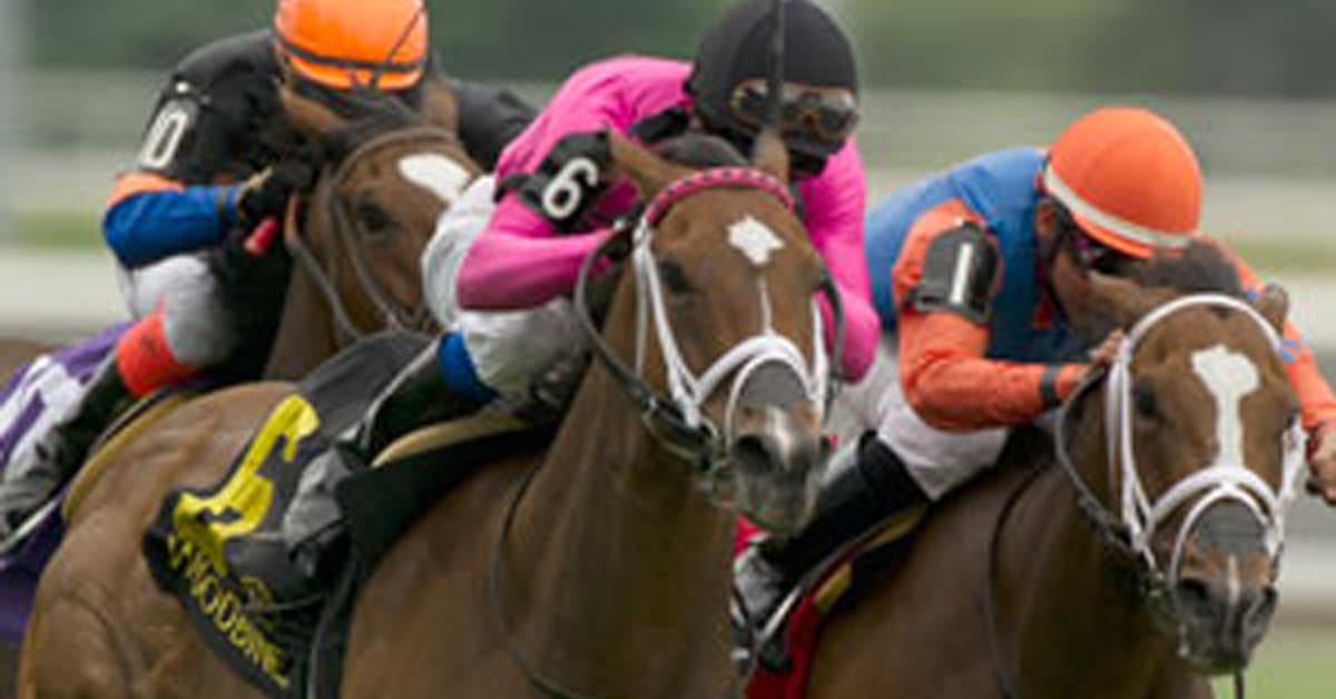 Horses racing in the Queens Plate in 2014.