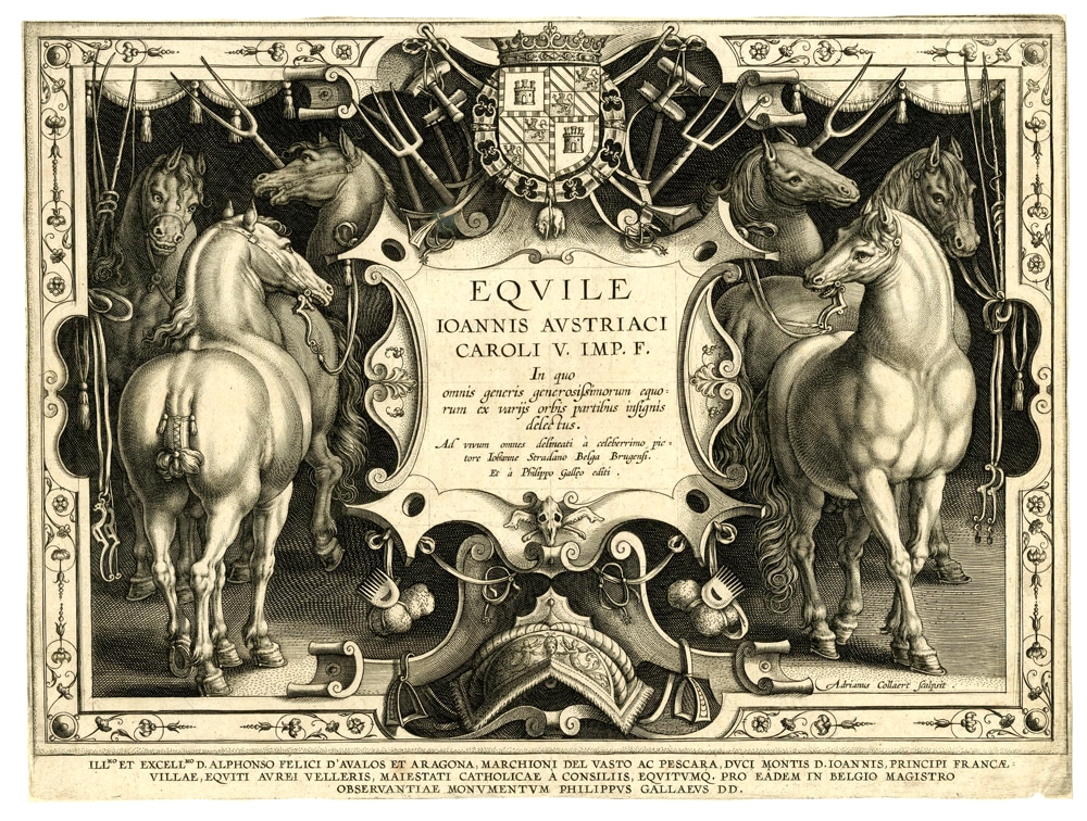 An old illustrayion showing horses and grooming tools.