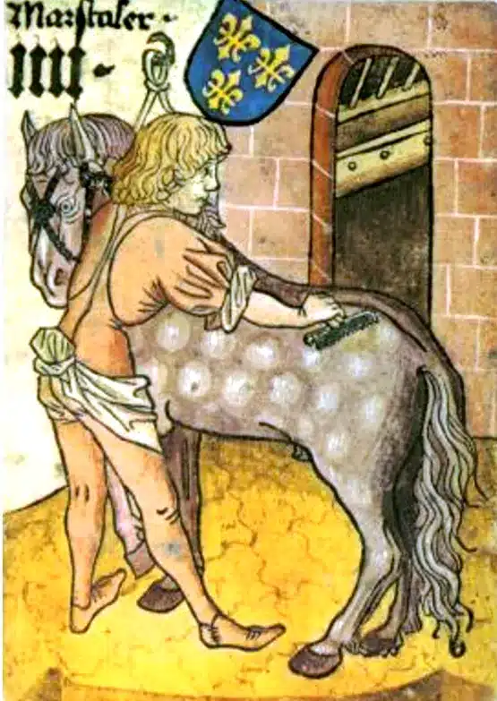 An illustration of a groom brushing a horse.