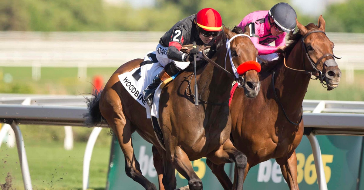 Horses racing at Woodbine.