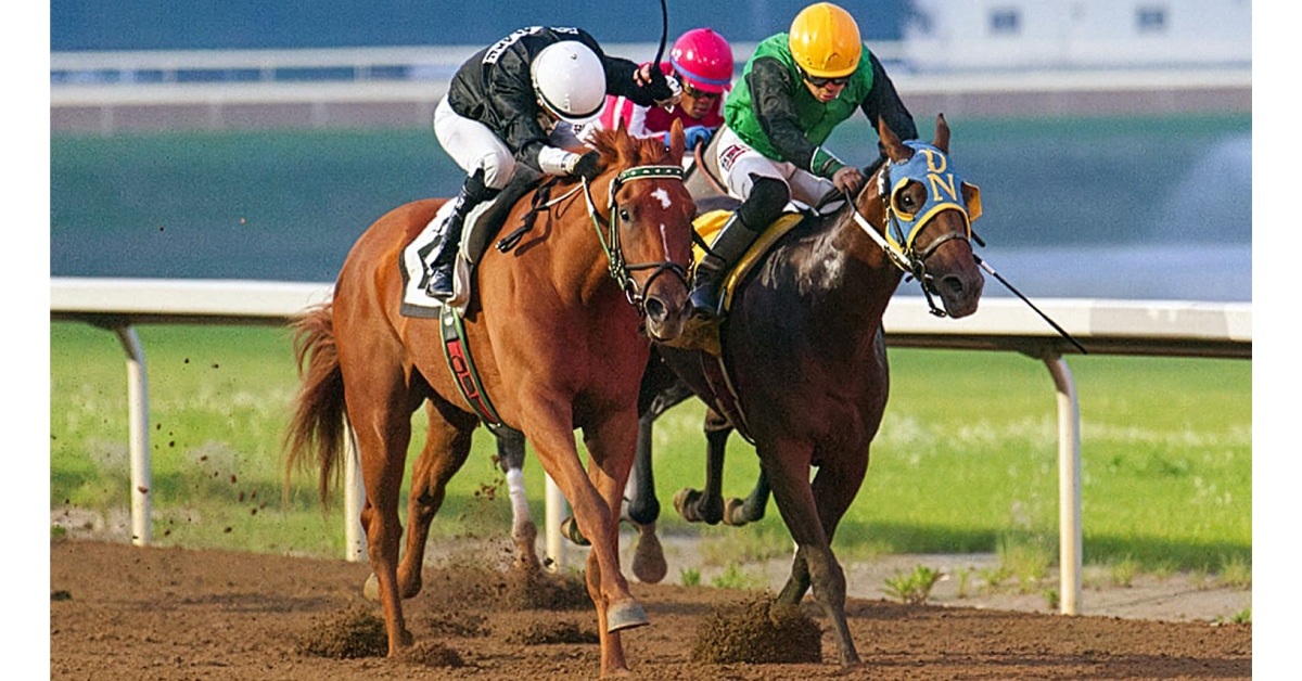 Two horses battling to the wire at Century Mile.