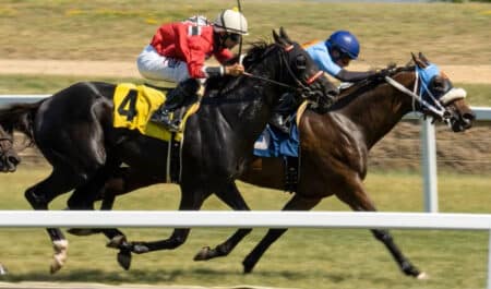 Horses racing on a dirt track.