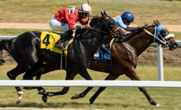 Horses racing on a dirt track.