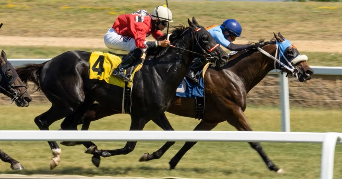 Horses racing on a dirt track.