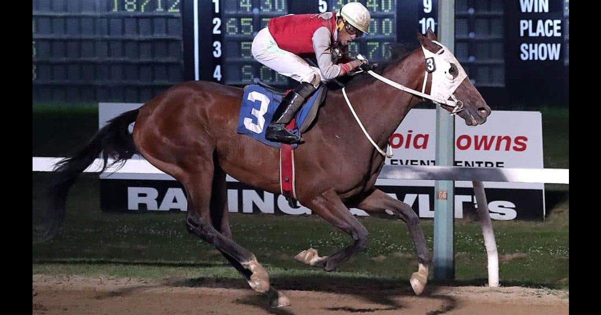 A bay horse crossing the finish line at ASD.-