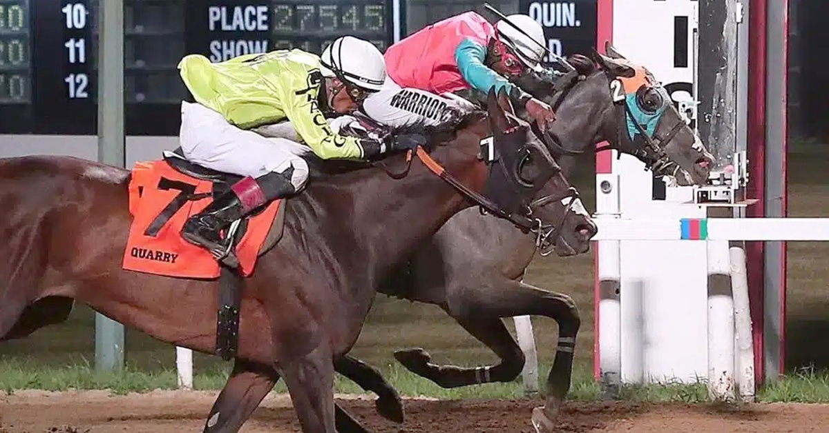 Horses racing to the wire at Assiniboia Downs.