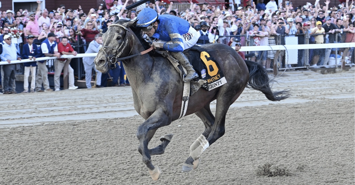 A muddy grey horse winning a race at Saratoga.