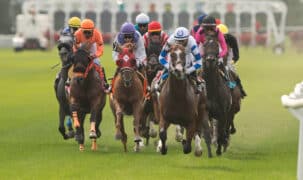 Horses racing on the EP Taylor turf at Woodbine.