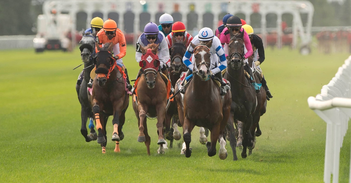 Horses racing on the EP Taylor turf at Woodbine.