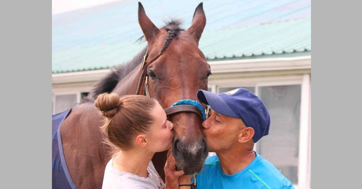 A man and woman kissing a bay racehorse.
