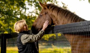 A woman patting a horse in a paddock.