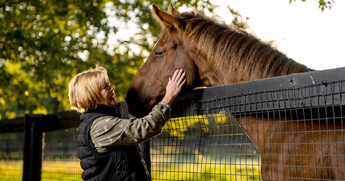 A woman patting a horse in a paddock.