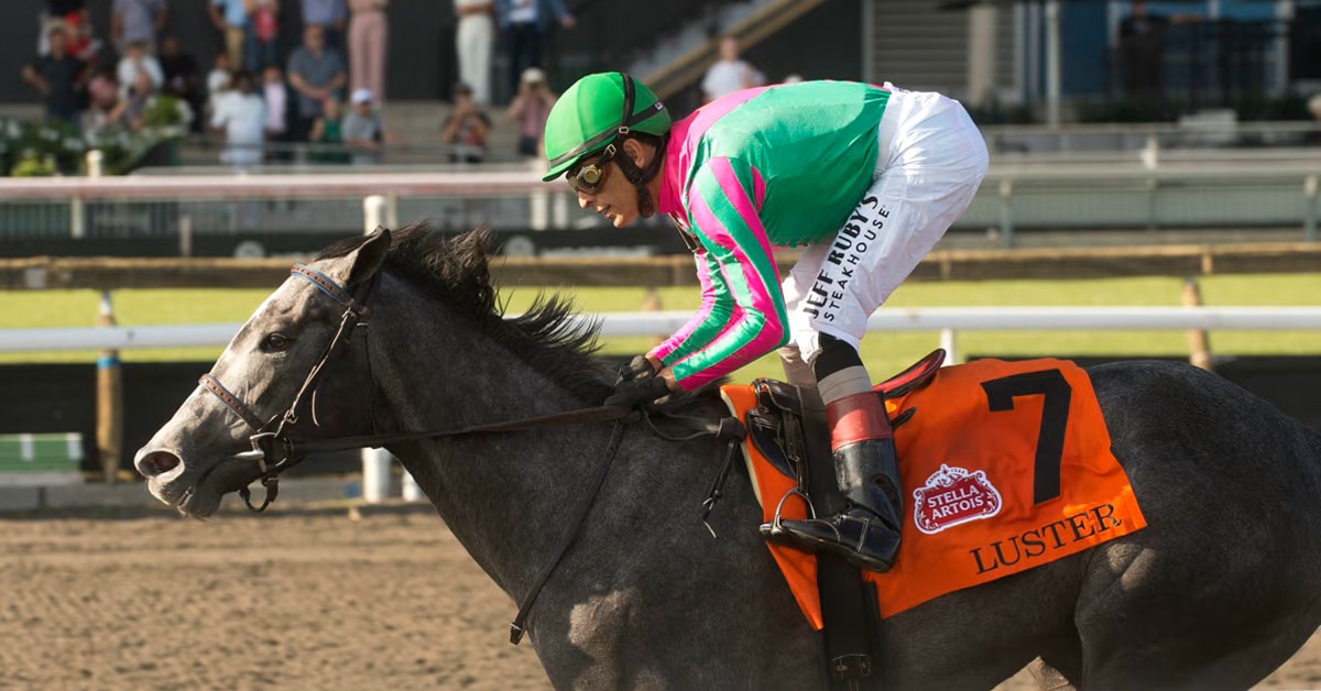 A grey filly winning a race at Woodbine.