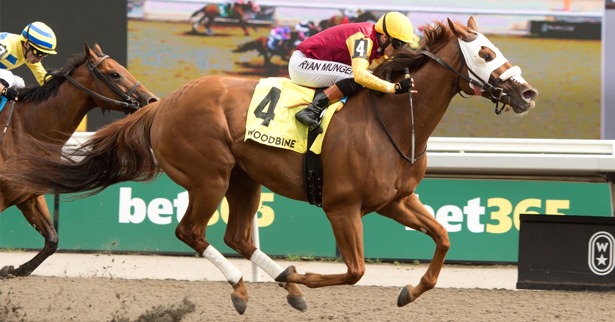 A chestnut horse winning a race at Woodbine.