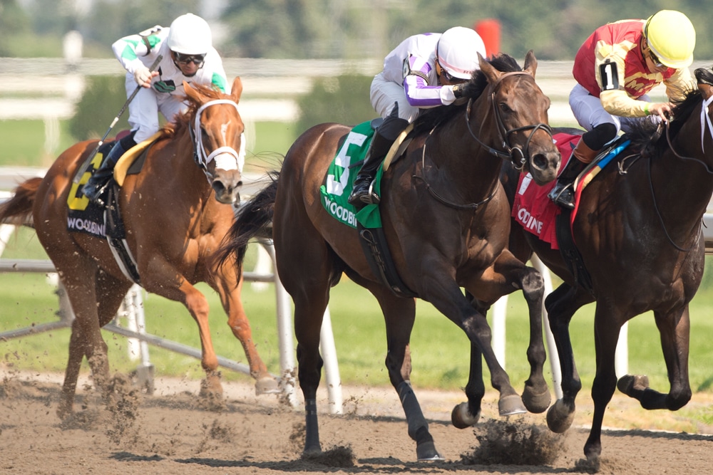 Horses racing at Woodbine.