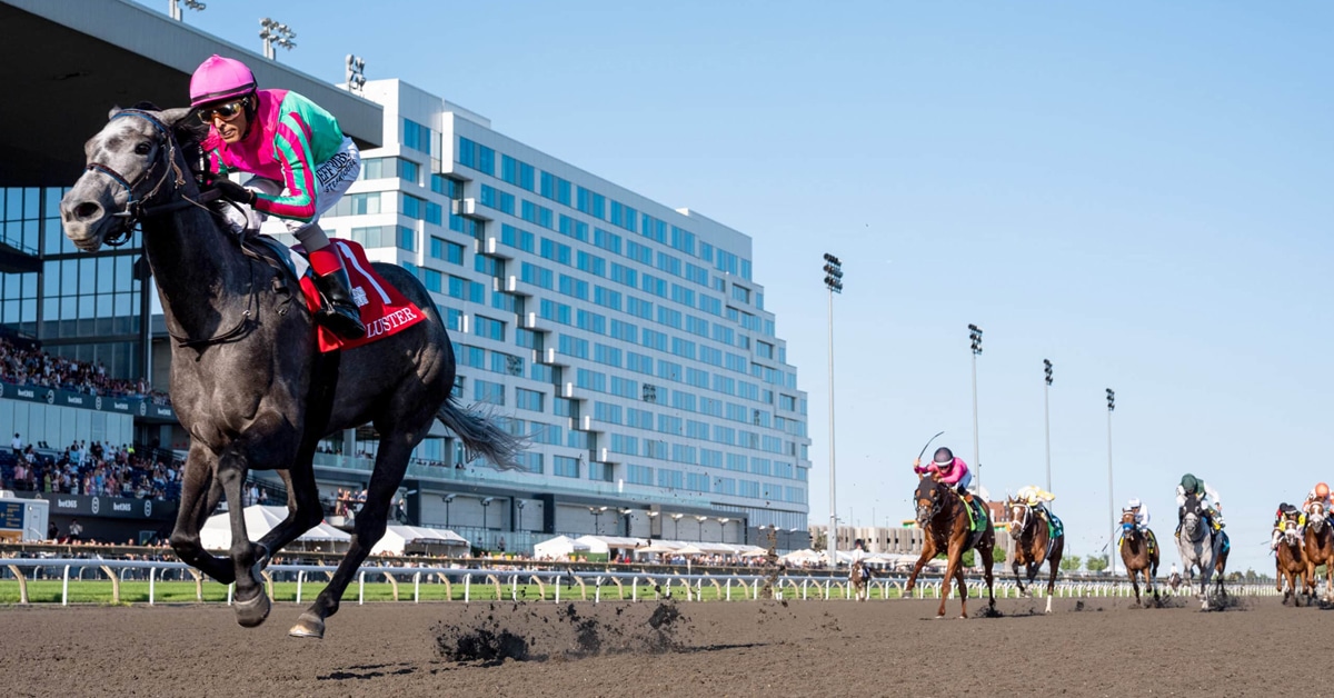 A grey filly winning a race at Woodbine by a large margin.