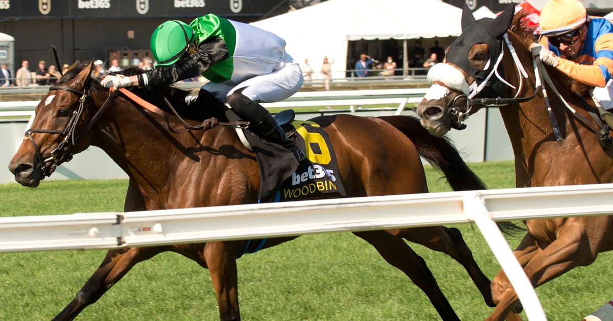 Horses racing to the wire at Woodbine.