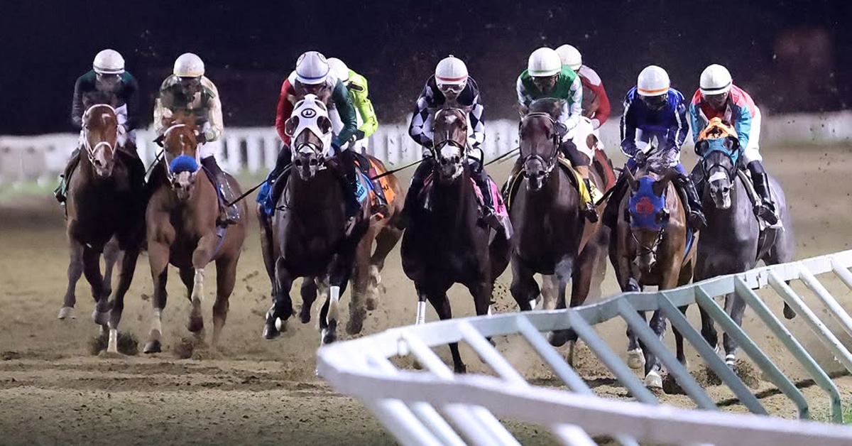 Horses racing in Manitoba.