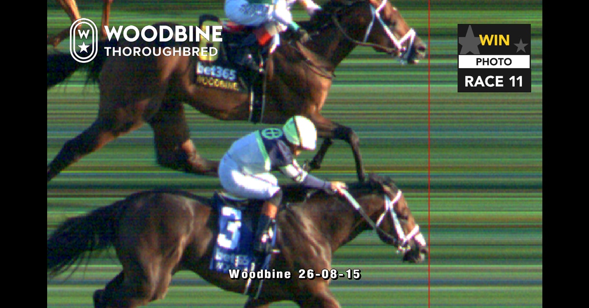 A photo finish of a race at Woodbine.
