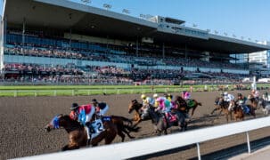 Horses racing in front of a packed grandstand at Woodbine.